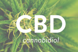 cbd-oil-what-you-need-to-know